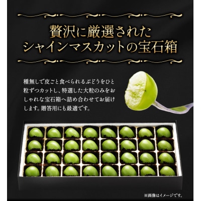 たたらみねらるシャインマスカット煌めく果粒の宝石箱(2026年産先行受付)1-43a