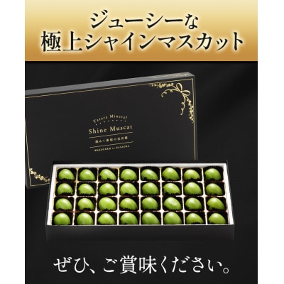 たたらみねらるシャインマスカット煌めく果粒の宝石箱(2026年産先行受付)1-43a