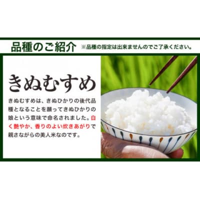  【令和8年3月発送】令和7年産 備中笠岡ふるさと米20kg
