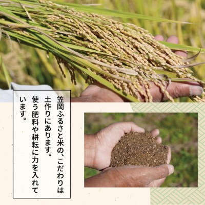 【令和7年6月発送】令和6年産 備中笠岡ふるさと米5kg