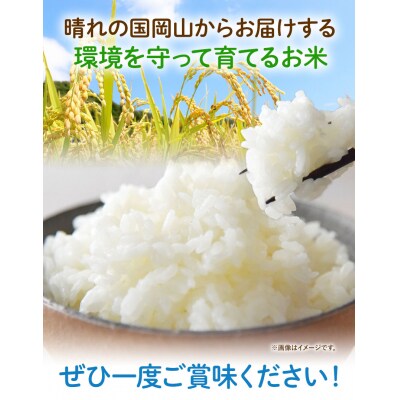 【瀬戸内海保護】里海米食べ比べ3本セット　無洗米　A-154f