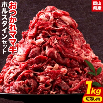 おつかれママ牛　ホルスタイン牛肉セットA　K-23c