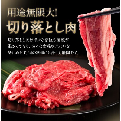 おつかれママ牛　ホルスタイン牛肉セットC　K-25b