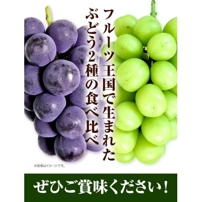 岡山県産ニューピオーネ&シャインマスカット晴王(各1房580g以上)2026年産先行受付　H-40b