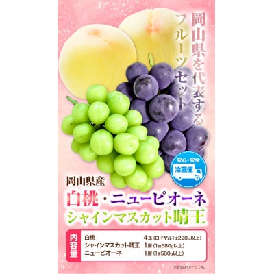 岡山県産白桃4玉&シャインマスカット晴王1房&ニューピオーネ1房詰め合わせ H-39b　　