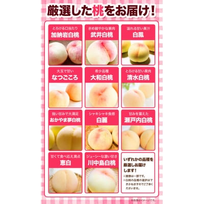 岡山県産白桃4玉&シャインマスカット晴王1房&ニューピオーネ1房詰め合わせ H-39b　　