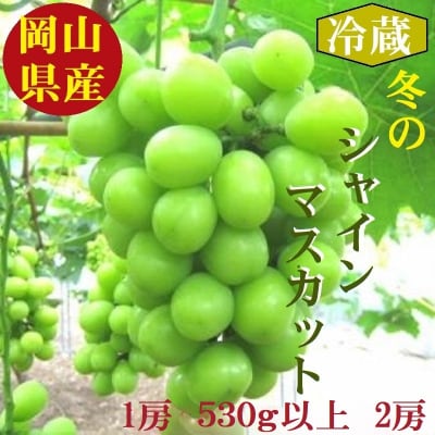 岡山県産・冷蔵シャインマスカット(530g以上2房入り) H-28a