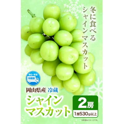 岡山県産・冷蔵シャインマスカット(530g以上2房入り) H-28b