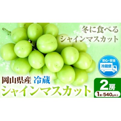 岡山県産・冷蔵シャインマスカット(540g以上2房入り) H-28b