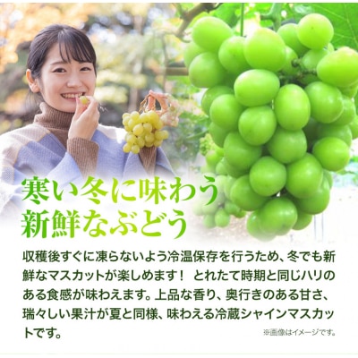 岡山県産・冷蔵シャインマスカット(530g以上2房入り) H-28b