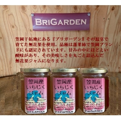 笠岡産　いちじくジャムセット　B-177