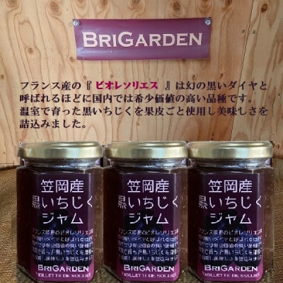 笠岡産　黒いちじくジャムセット　B-178