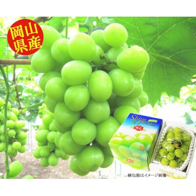 岡山県産シャインマスカット(晴王)つる付き1房入り(680g以上)令和7年産先行受付 H-30a