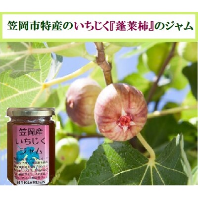 笠岡産　いちじくジャムよくばりセット　B-179