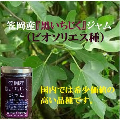 笠岡産　いちじくジャムよくばりセット　B-179