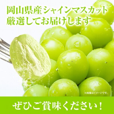 岡山県産シャインマスカット(晴王)自家用つる付き1房(530g以上)3房入り(H-32b)