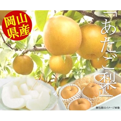 岡山県産あたご梨3kg(3-5玉入り)2025年産先行受付　H-38a