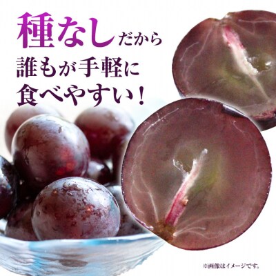 岡山県産ニューピオーネ　自家用つる付き1房(530g以上)2房入り　2026年産先行受付　H-34b