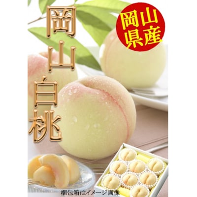 岡山県産白桃(1玉220g以上8玉入り)令和8年産先行受付 H-25b