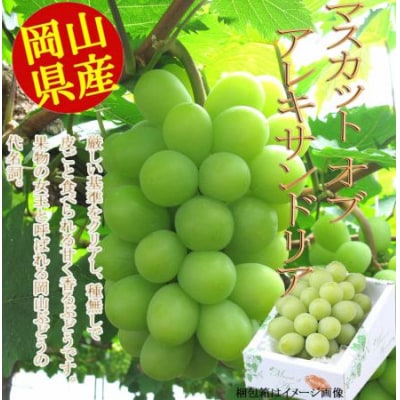 岡山県産マスカット(マスカットオブアレキサンドリア 1房750g以上)令和8年産先行受付 H-27b