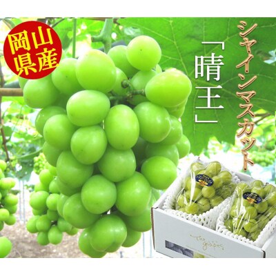 岡山県産シャインマスカット(晴王)つる付き1房(580g以上)2房入り【先行受付】H-29a