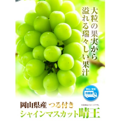岡山県産シャインマスカット(晴王)つる付き1房(580g以上)2房入り【先行受付】H-29b