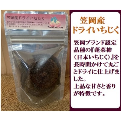 笠岡産　ドライいちじくよくばりセット　B-180