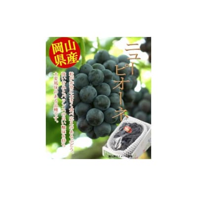 岡山県産ニューピオーネ　つる付き1房(680g以上) 1房入り　2025年産先行受付　H-33a