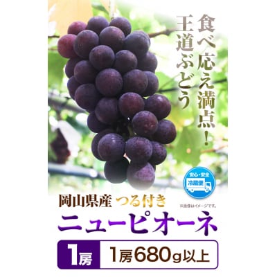 岡山県産ニューピオーネ　つる付き1房(680g以上) 1房入り　2026年産先行受付　H-33a