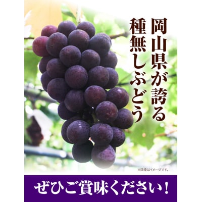 岡山県産ニューピオーネ　つる付き1房(680g以上) 1房入り　2026年産先行受付　H-33a