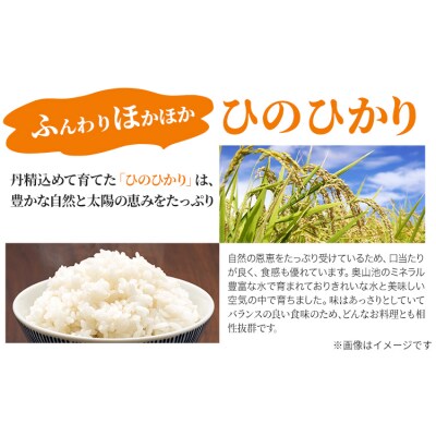 【令和8年産 先行受付】白米 ひのひかり 笠岡産 5kg太陽の恵み O-16a_5kg_白米