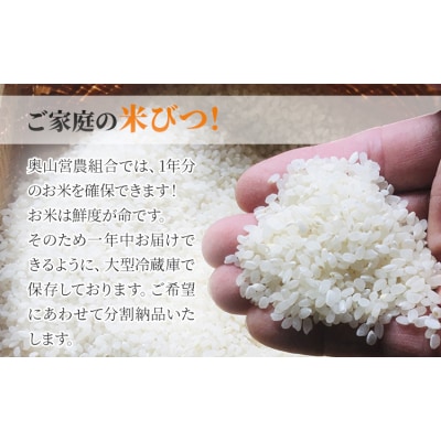 【令和8年産 先行受付】無洗米 ひのひかり 笠岡産 5kg太陽の恵み O-16a_5kg_無洗米