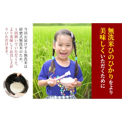 【令和8年産 先行受付】無洗米 ひのひかり 笠岡産 5kg太陽の恵み O-16a_5kg_無洗米