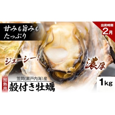 笠岡産殻付き牡蠣1kg(2月発送分)　K-44a-2j