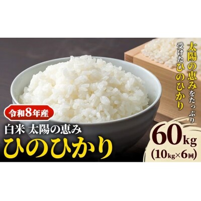 【令和8年産 先行受付】白米 ひのひかり 笠岡産 60kg 太陽の恵み O-16a_60kg_白米