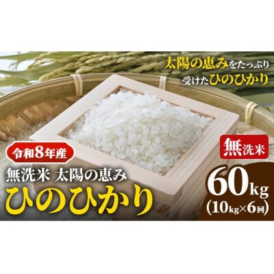 【令和8年産 先行受付】無洗米ひのひかり 笠岡産 60kg 太陽の恵み O-16a_60kg_無洗米