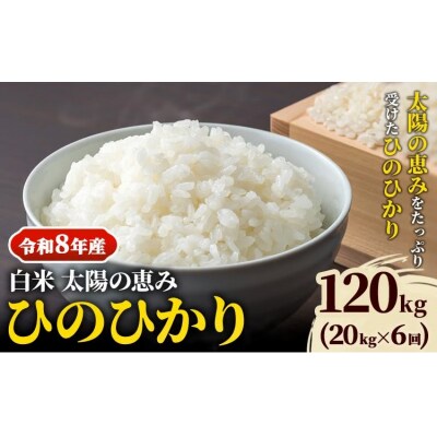 【令和8年産 先行受付】白米ひのひかり 笠岡産 120kg 太陽の恵み O-16a_120kg_白米