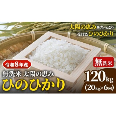 【令和8年産 先行受付】無洗米ひのひかり笠岡産 120kg太陽の恵みO-16a_120kg_無洗米