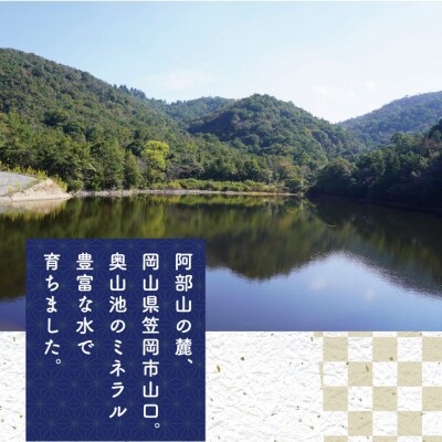【令和8年産 先行受付】無洗米ひのひかり笠岡産 120kg太陽の恵みO-16a_120kg_無洗米