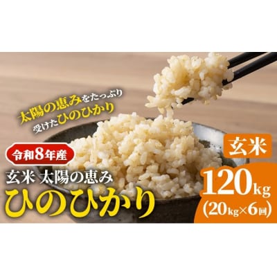 【令和8年産 先行受付】玄米ひのひかり 笠岡産 120kg 太陽の恵みO-16a_120kg_玄米