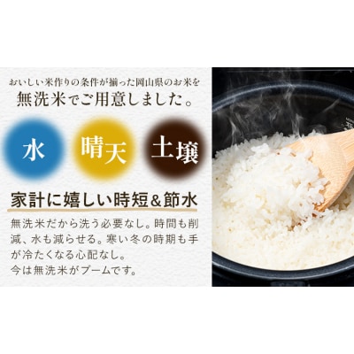 おかやま無洗米 メール便 1合《30日以内に出荷予定(土日祝除く)》岡山県 笠岡市 使い切り
