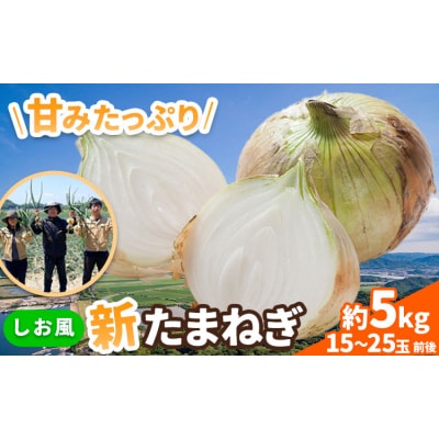 しお風 新たまねぎ 5kg 大きさ不揃い《5月中旬-6月上旬頃出荷》岡山県 笠岡市