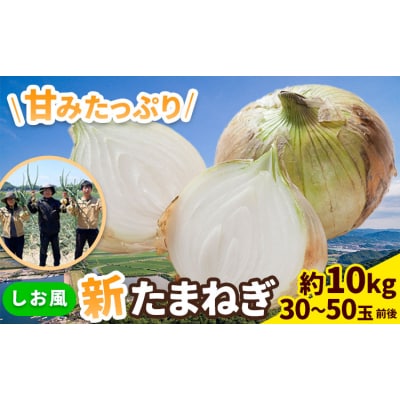 しお風 新たまねぎ 10kg 大きさ不揃い《5月中旬-6月上旬頃出荷》岡山県 笠岡市