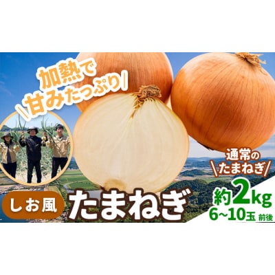 しお風 たまねぎ 2kg 大きさ不揃い《6月上旬-6月末頃出荷》岡山県 笠岡市