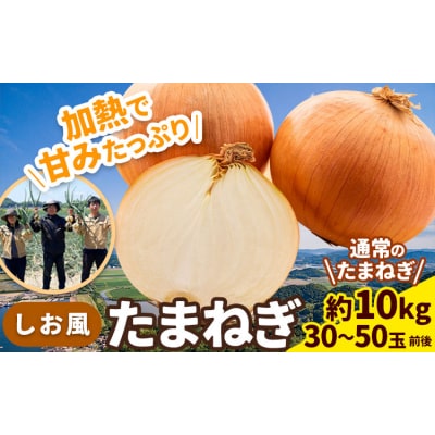 しお風 たまねぎ 10kg 大きさ不揃い《6月上旬-6月末頃出荷》岡山県 笠岡市