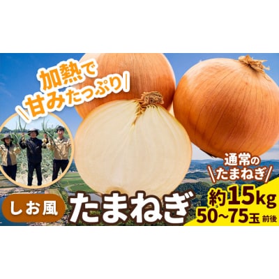 しお風 たまねぎ 15kg 大きさ不揃い《6月上旬-6月末頃出荷》岡山県 笠岡市