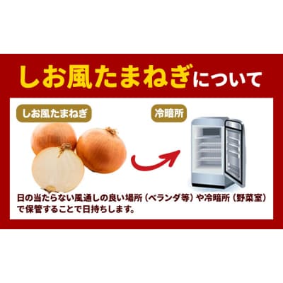 しお風 たまねぎ 15kg 大きさ不揃い《6月上旬-6月末頃出荷》岡山県 笠岡市