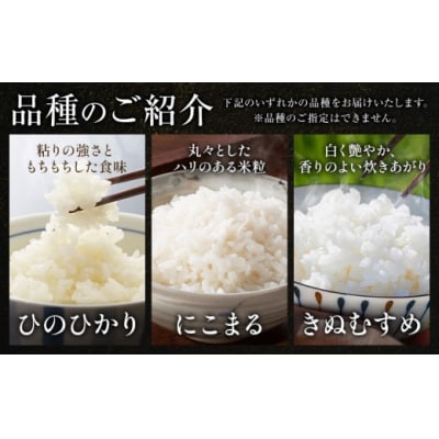 【令和8年5月～7月発送】令和7年産 備中笠岡ふるさと米15kg(5kg×3ヶ月定期便)	