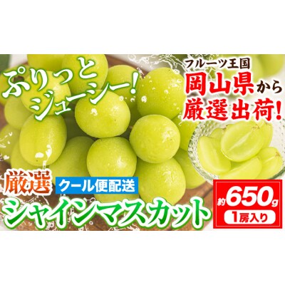 シャインマスカット 約650g《9月上旬-11月中旬頃出荷》岡山県 笠岡市 ぶどう 果物