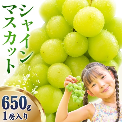 シャインマスカット 約650g《9月上旬-11月中旬頃出荷》岡山県 笠岡市 ぶどう 果物